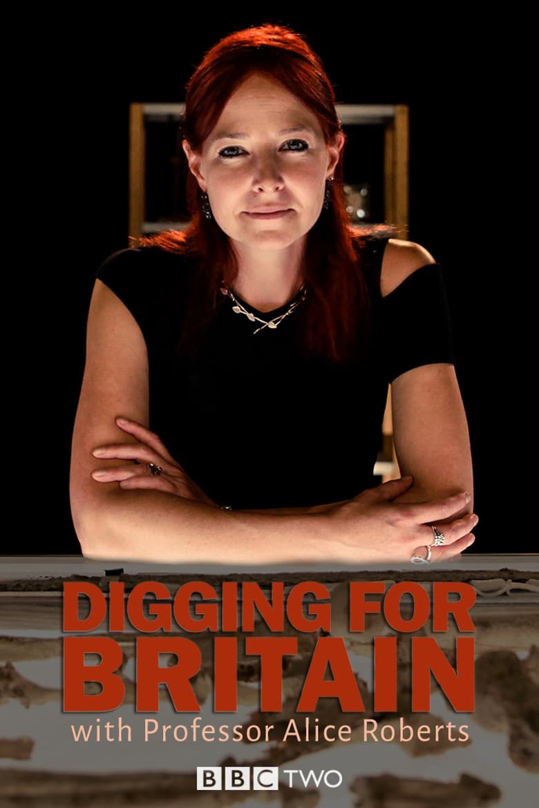 Poster of Digging for Britain