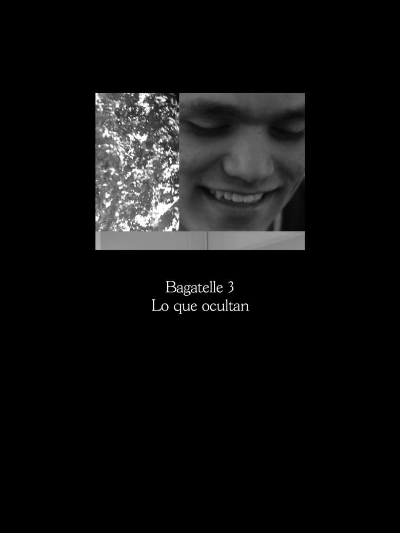 Poster of Bagatelle 3: Lo que ocultan