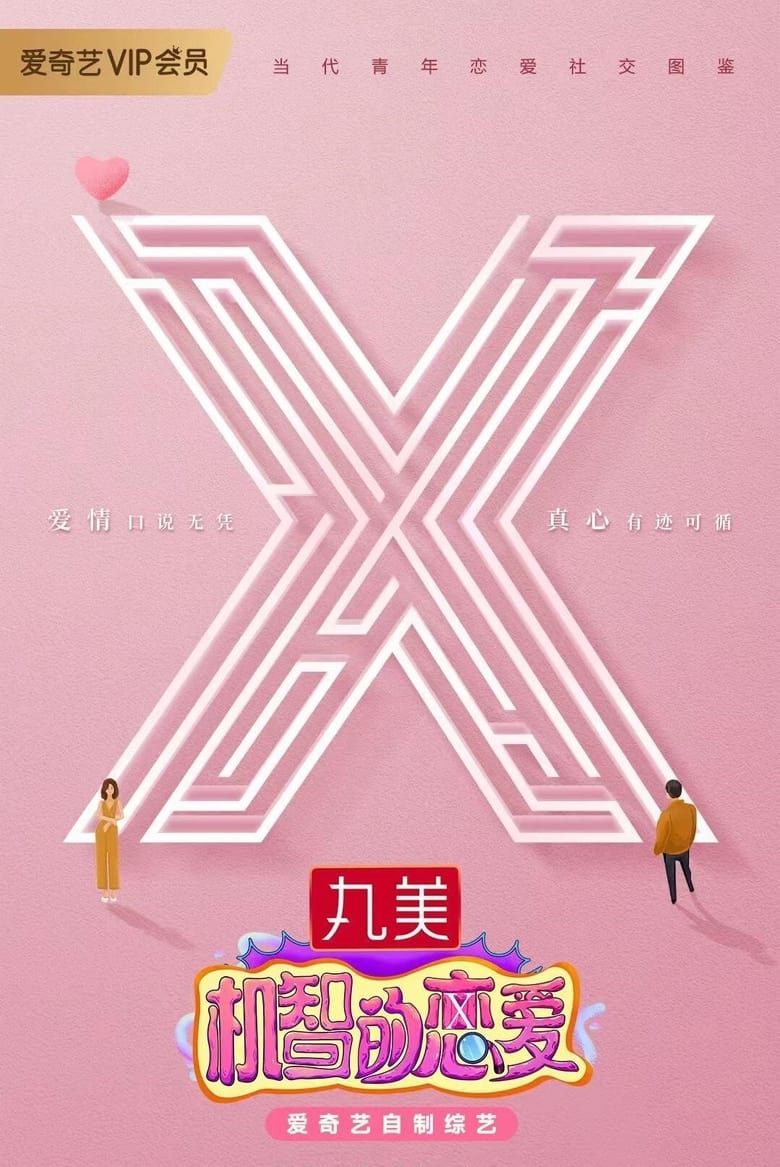 Poster of The Secret X