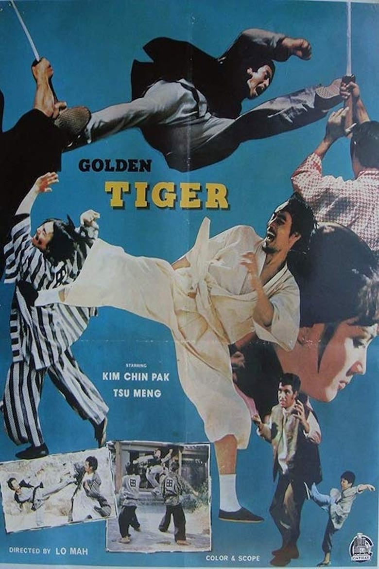 Poster of Tiger