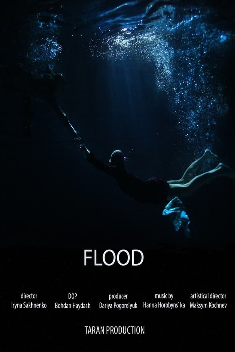 Poster of Flood