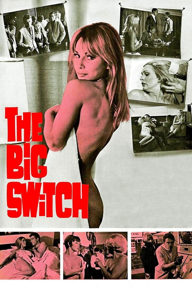 Poster of The Big Switch