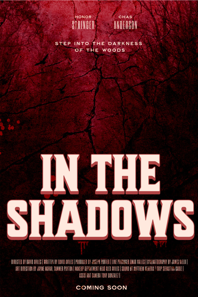 Poster of In The Shadows