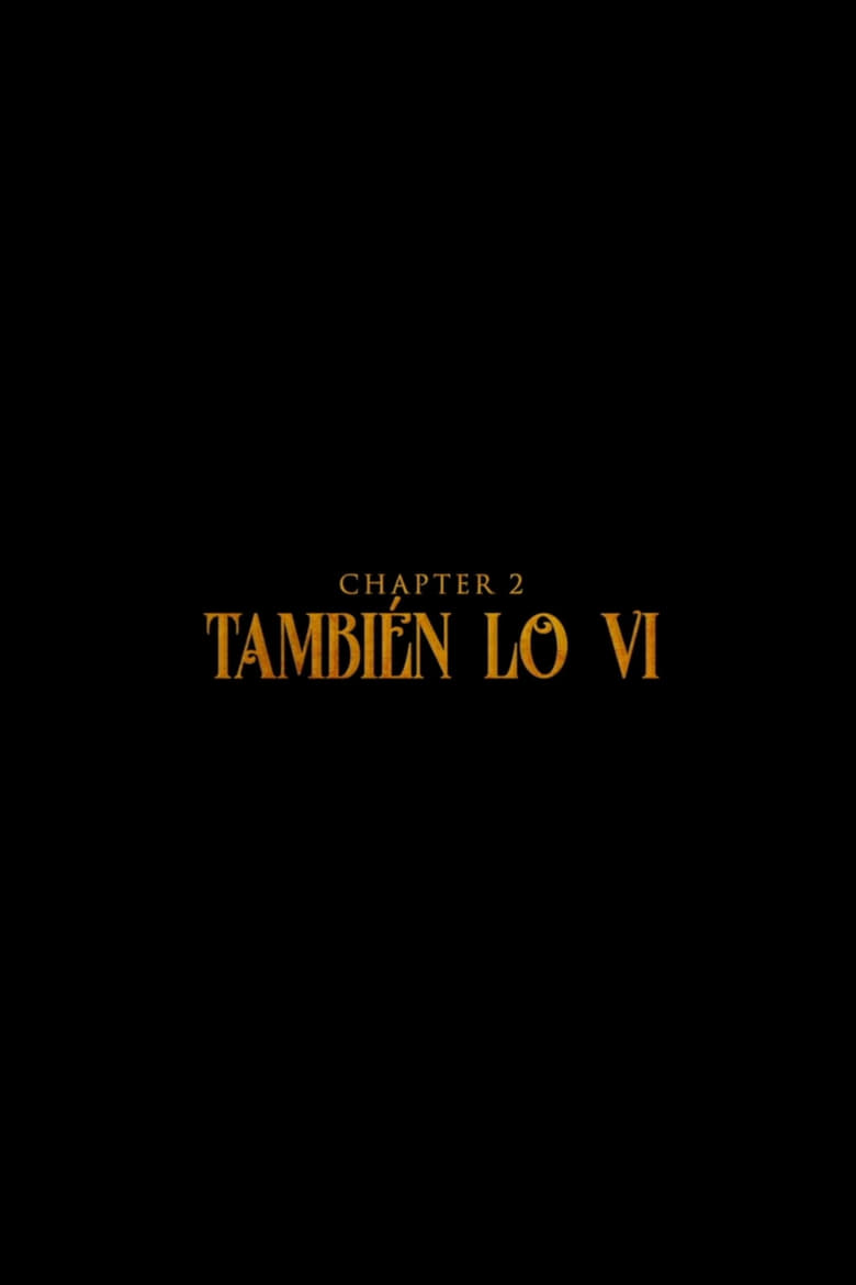 Poster of También Lo Vi