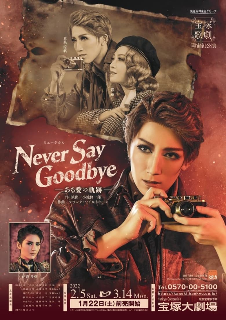 Poster of Never Say Goodbye