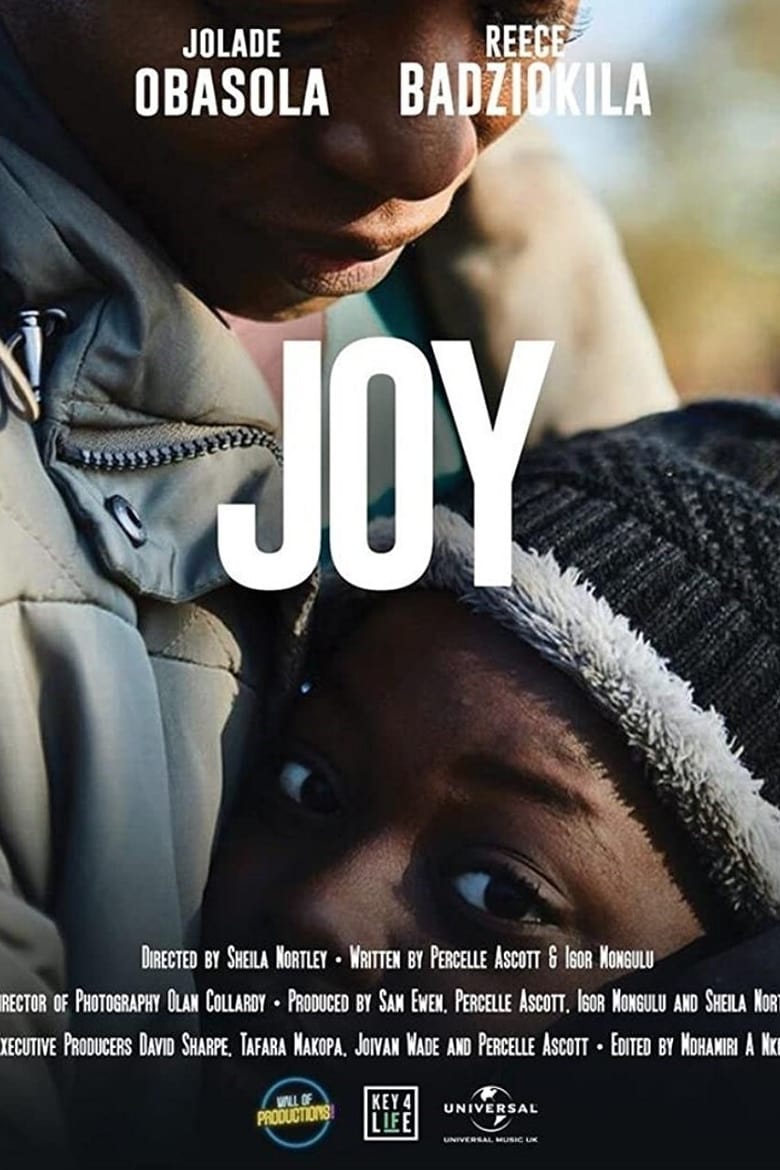 Poster of Joy