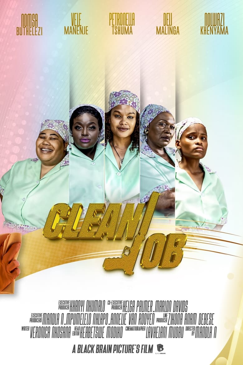 Poster of Clean Job