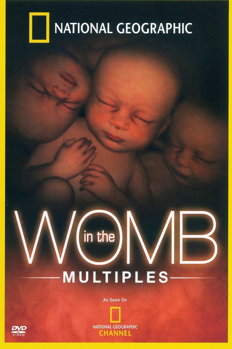 Poster of In the Womb: Multiples