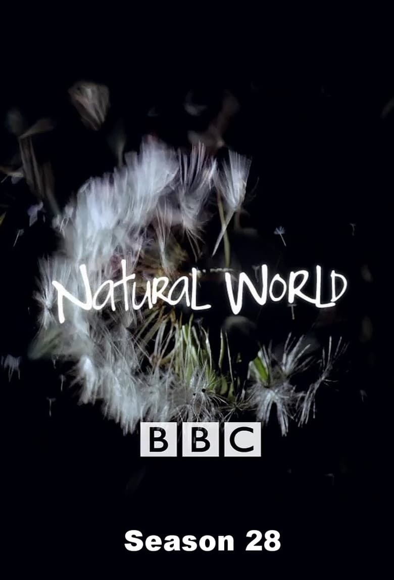 Poster of Episodes in Natural World - Season 28 - Season 28