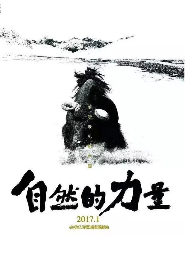 Poster of 自然的力量