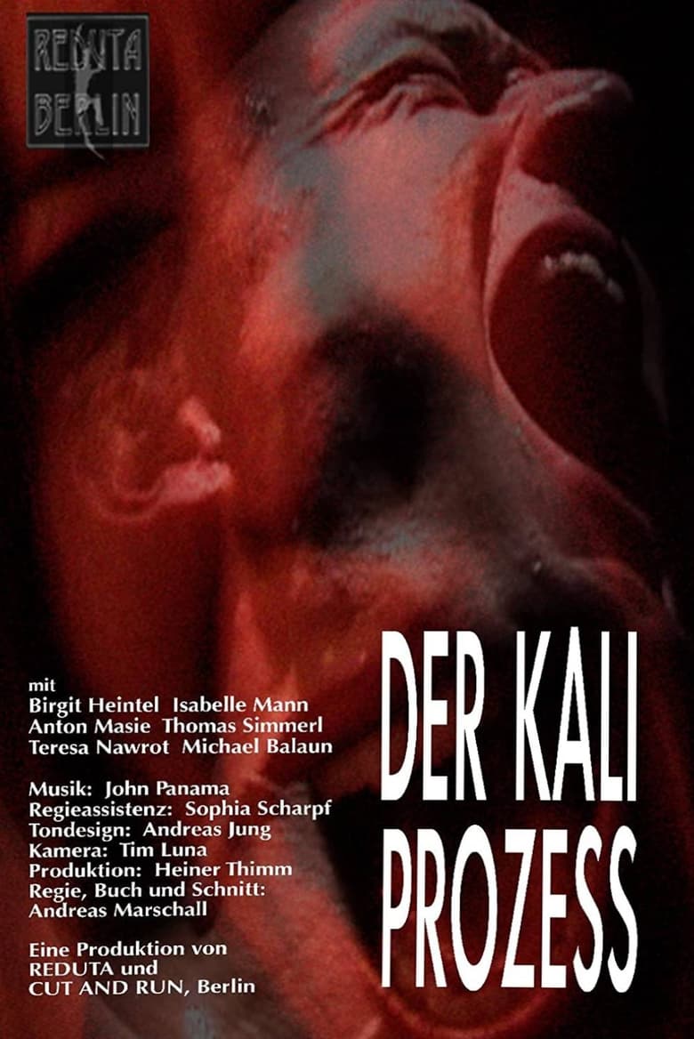 Poster of Der Kali Prozess