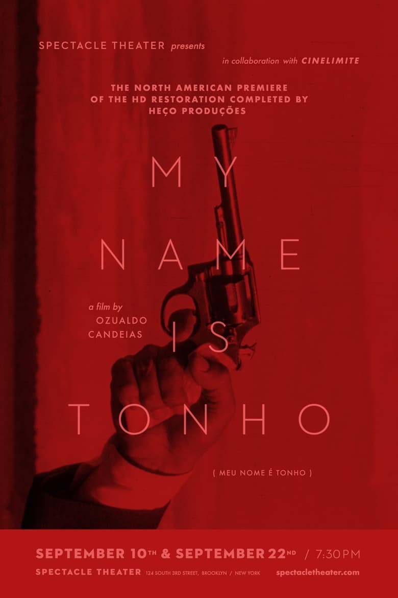 Poster of My Name is Tonho