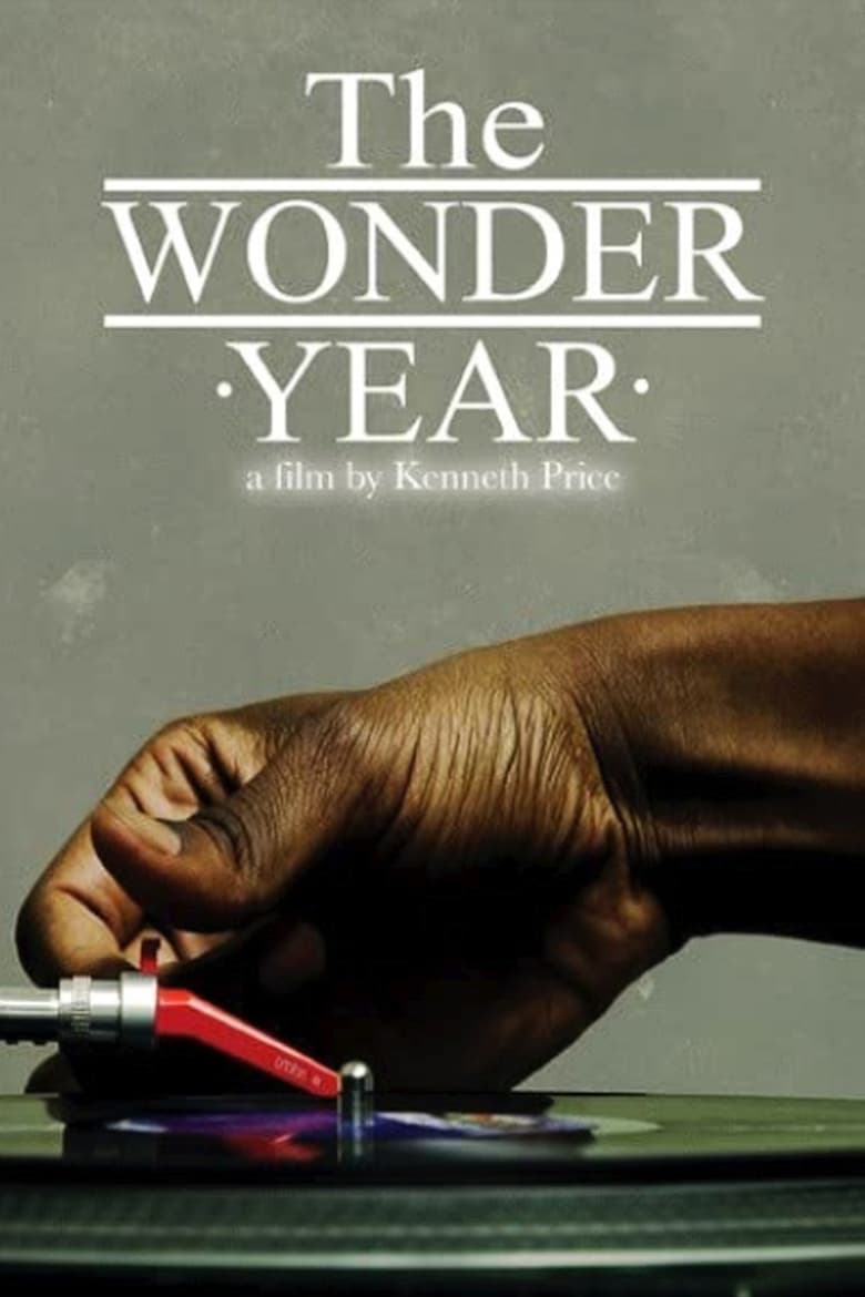 Poster of The Wonder Year