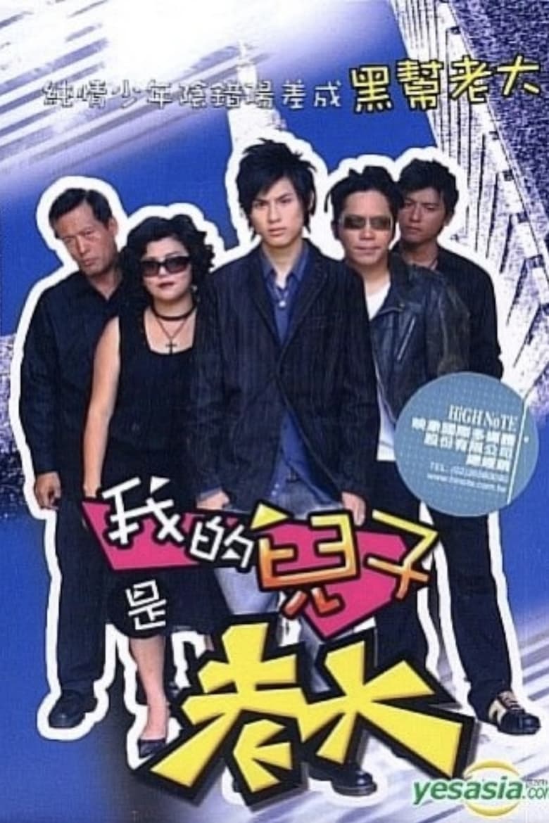 Poster of 我的儿子是老大