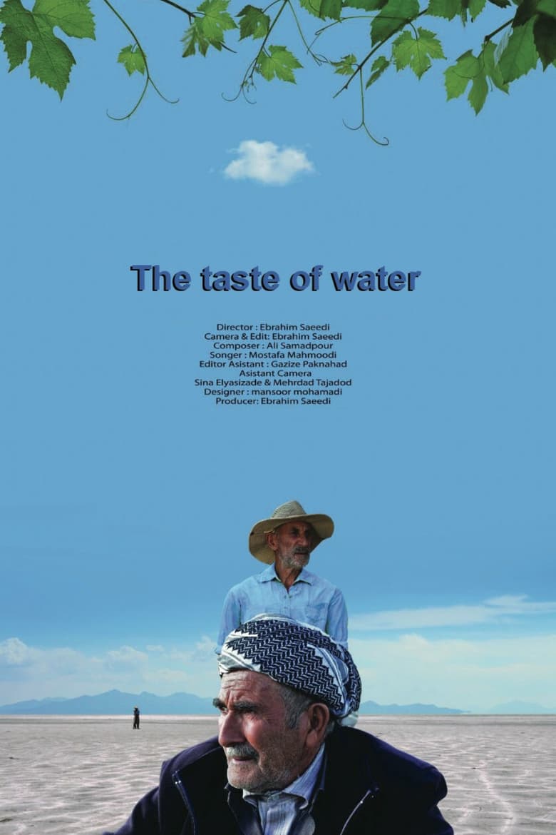 Poster of Taste of Water