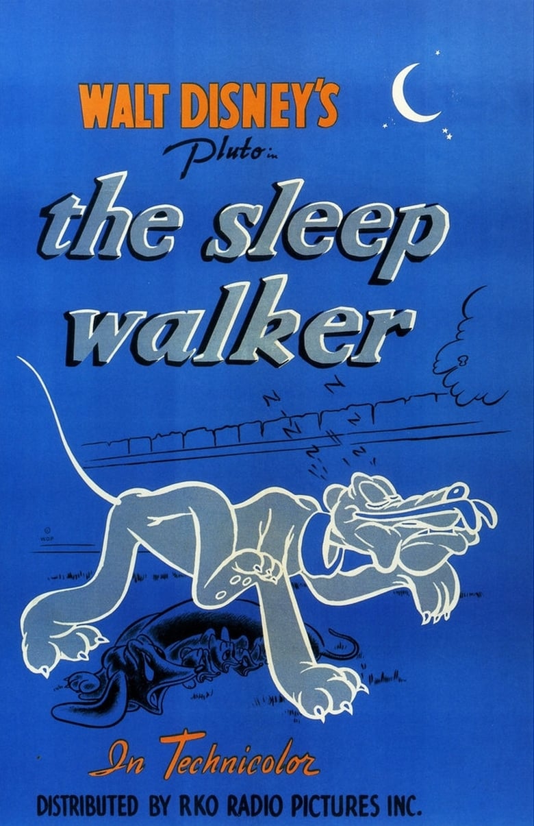 Poster of The Sleepwalker