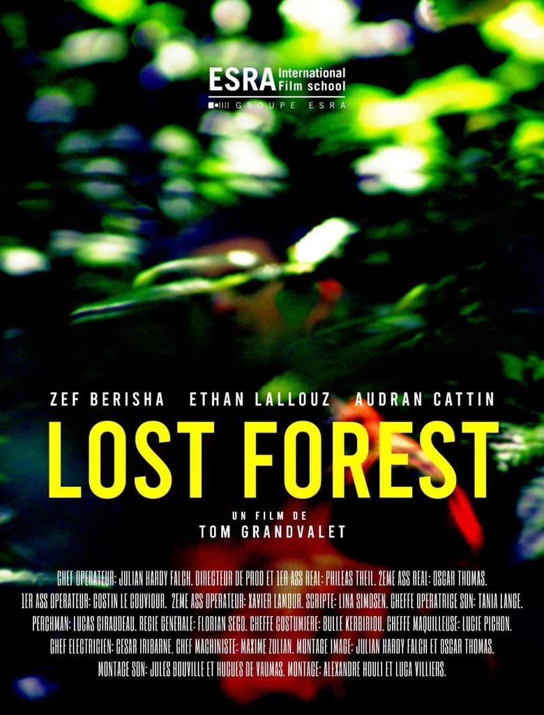 Poster of Lost Forest