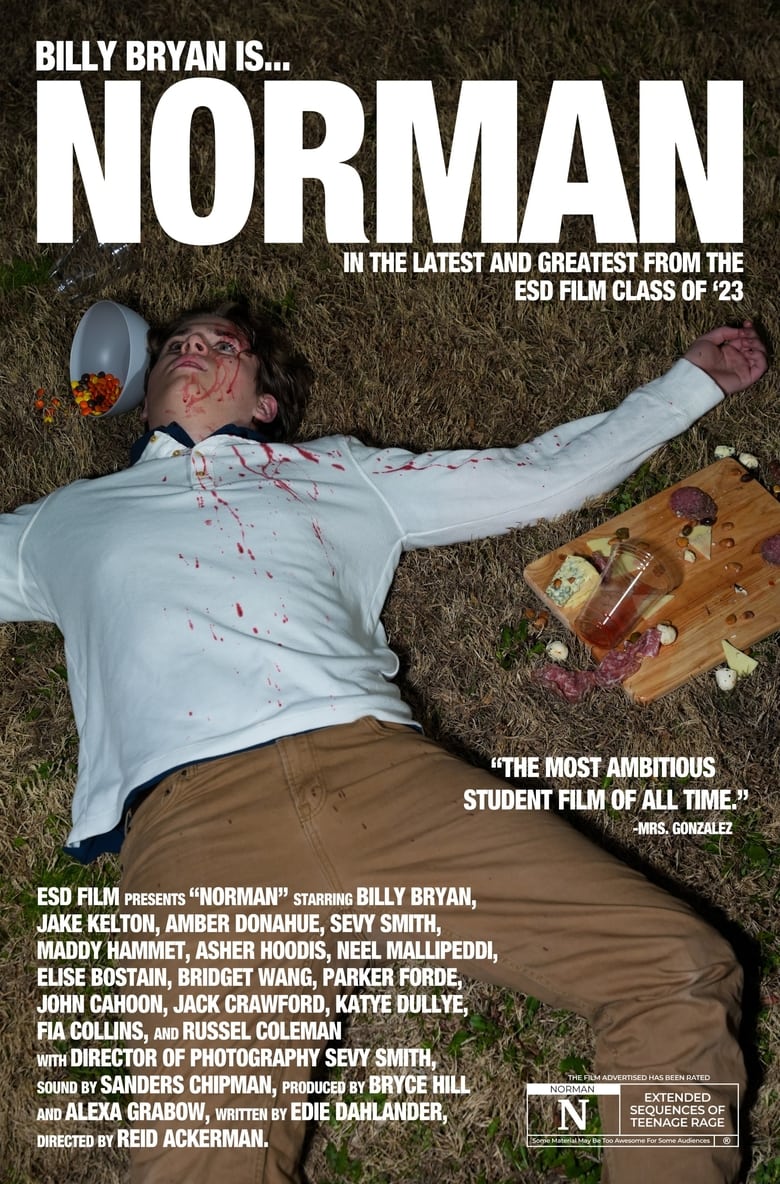 Poster of NORMAN