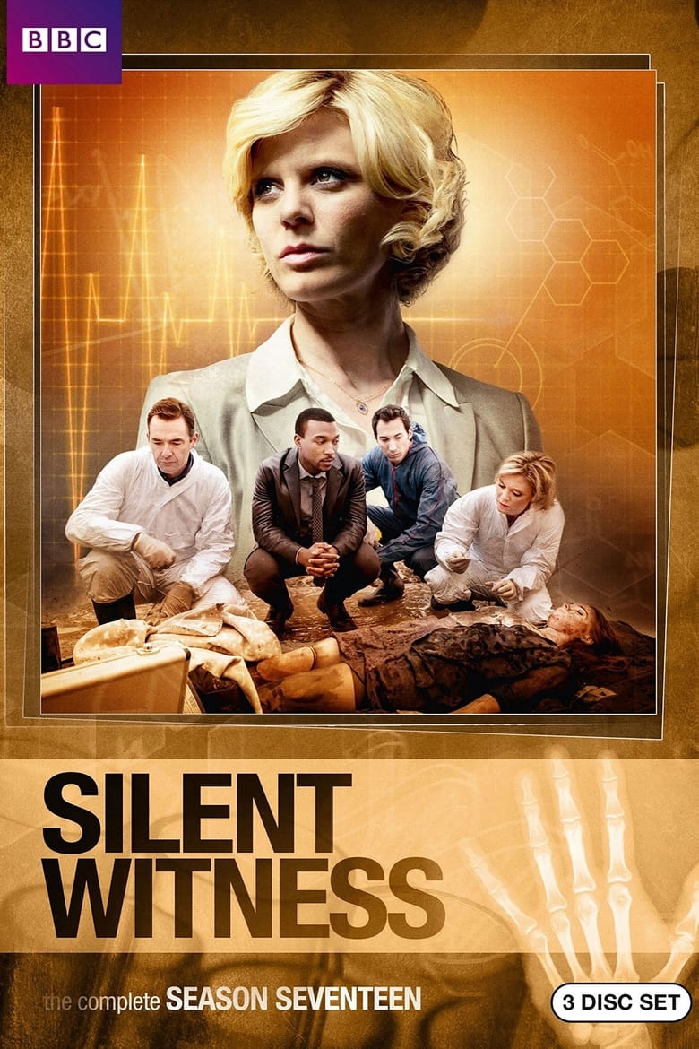 Poster of Episodes in Silent Witness - Series 17 - Series 17