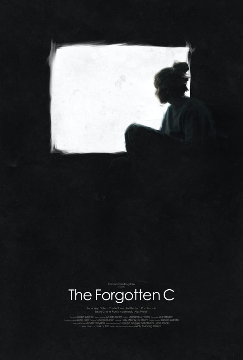 Poster of The Forgotten C