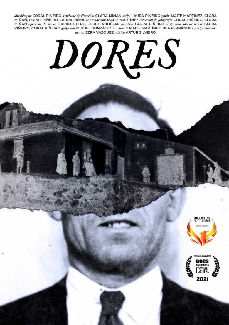 Poster of Dores