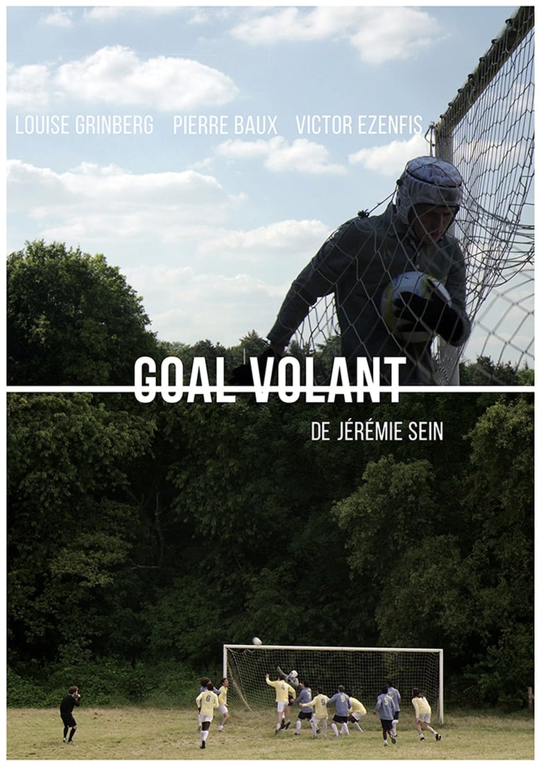 Poster of Goal Volant