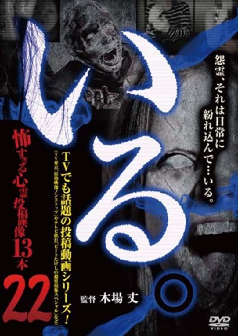 Poster of 「Iru.」~ Kowasugiru Tōkō Eizō 13-hon ~ Vol.22