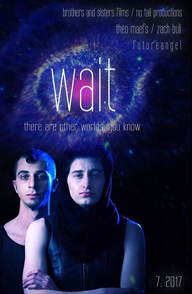 Poster of Wait