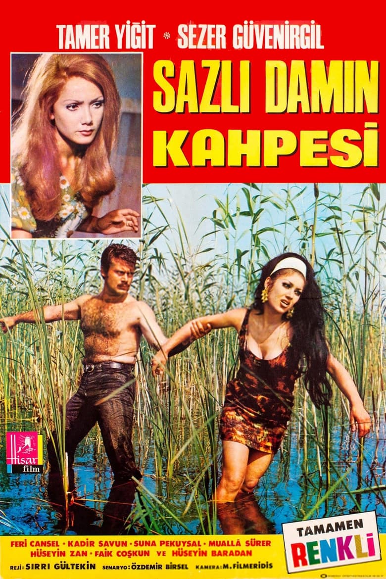 Poster of Sazlı Damın Kahpesi