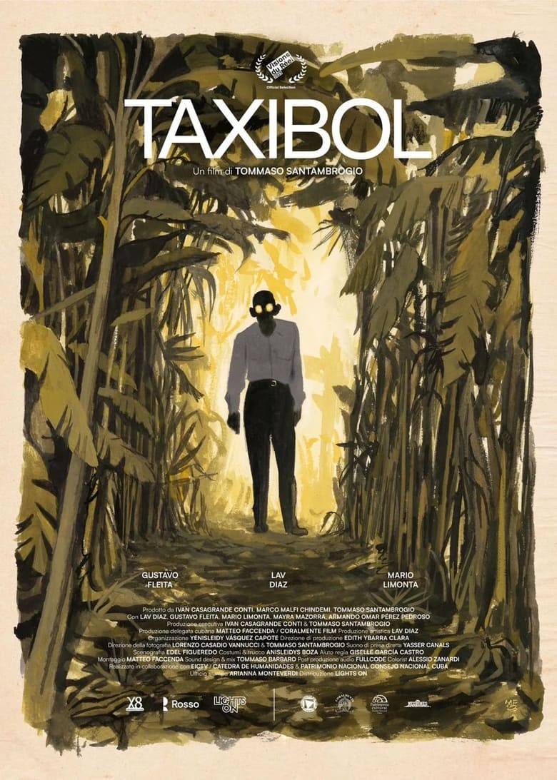 Poster of Taxibol