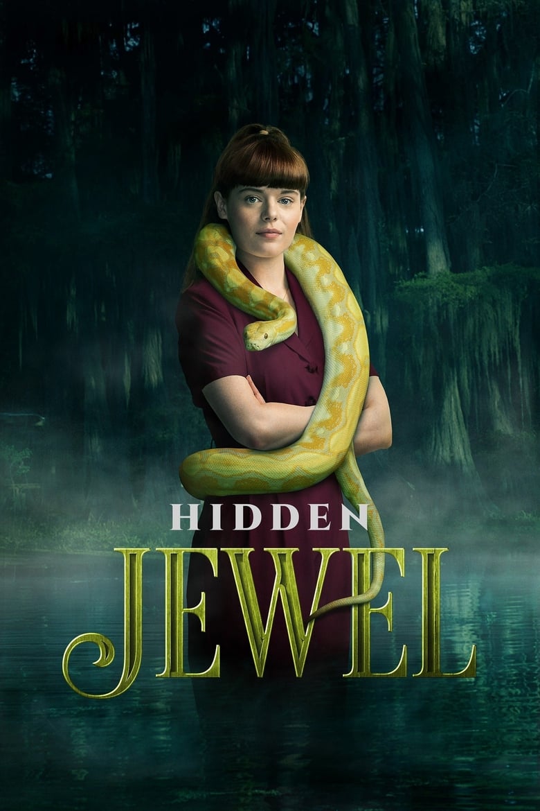 Poster of Hidden Jewel