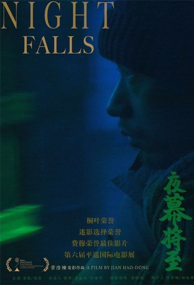 Poster of Night Falls