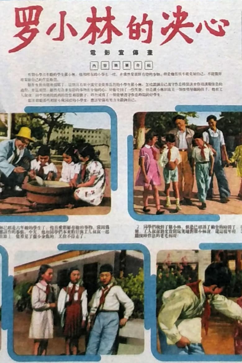 Poster of 罗小林的决心