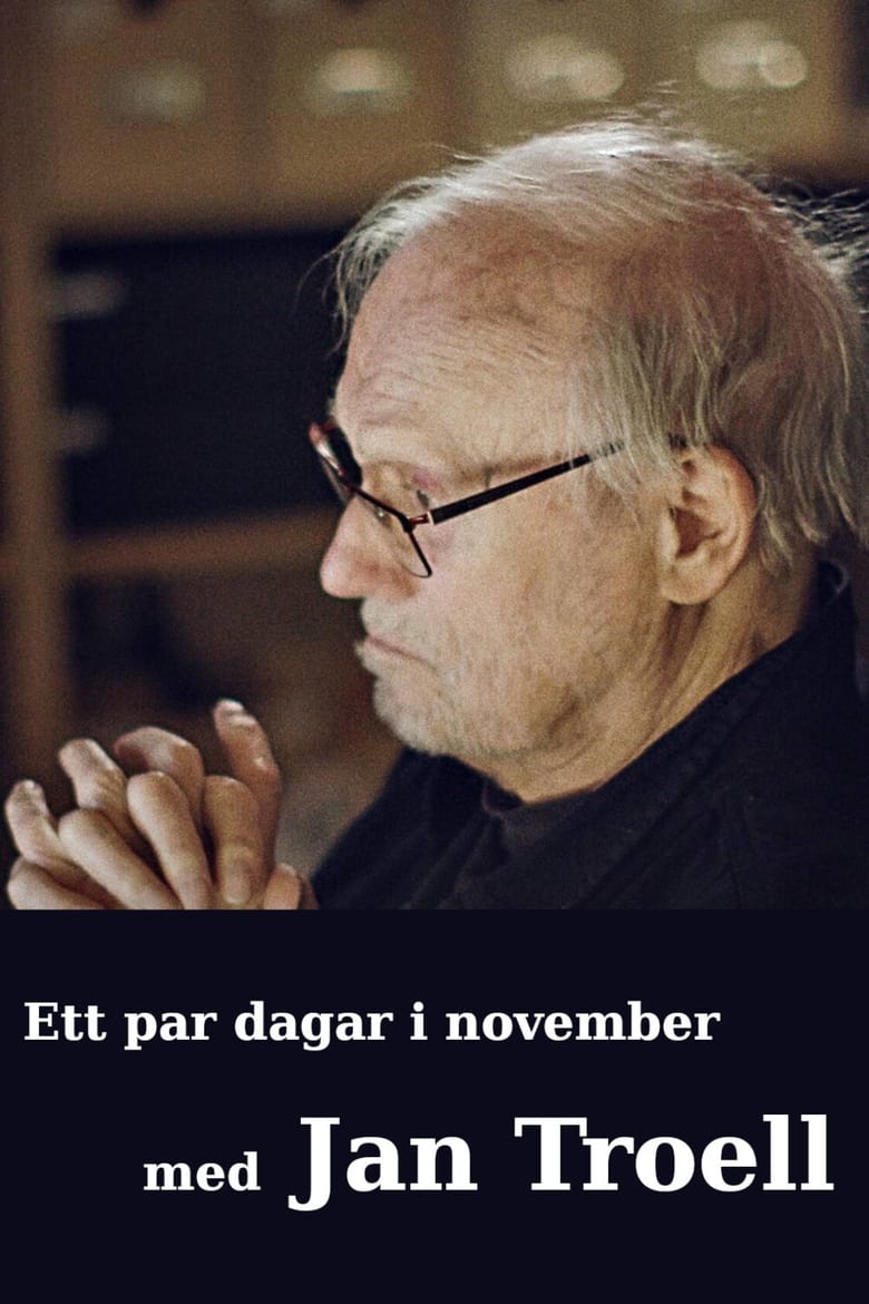 Poster of Ett par dagar i november med Jan Troell