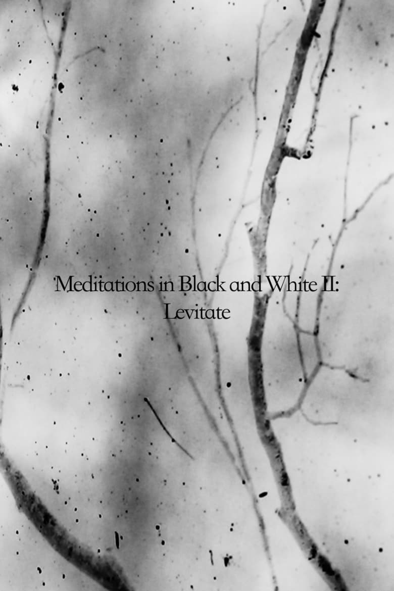 Poster of Meditations in Black and White II: Levitate