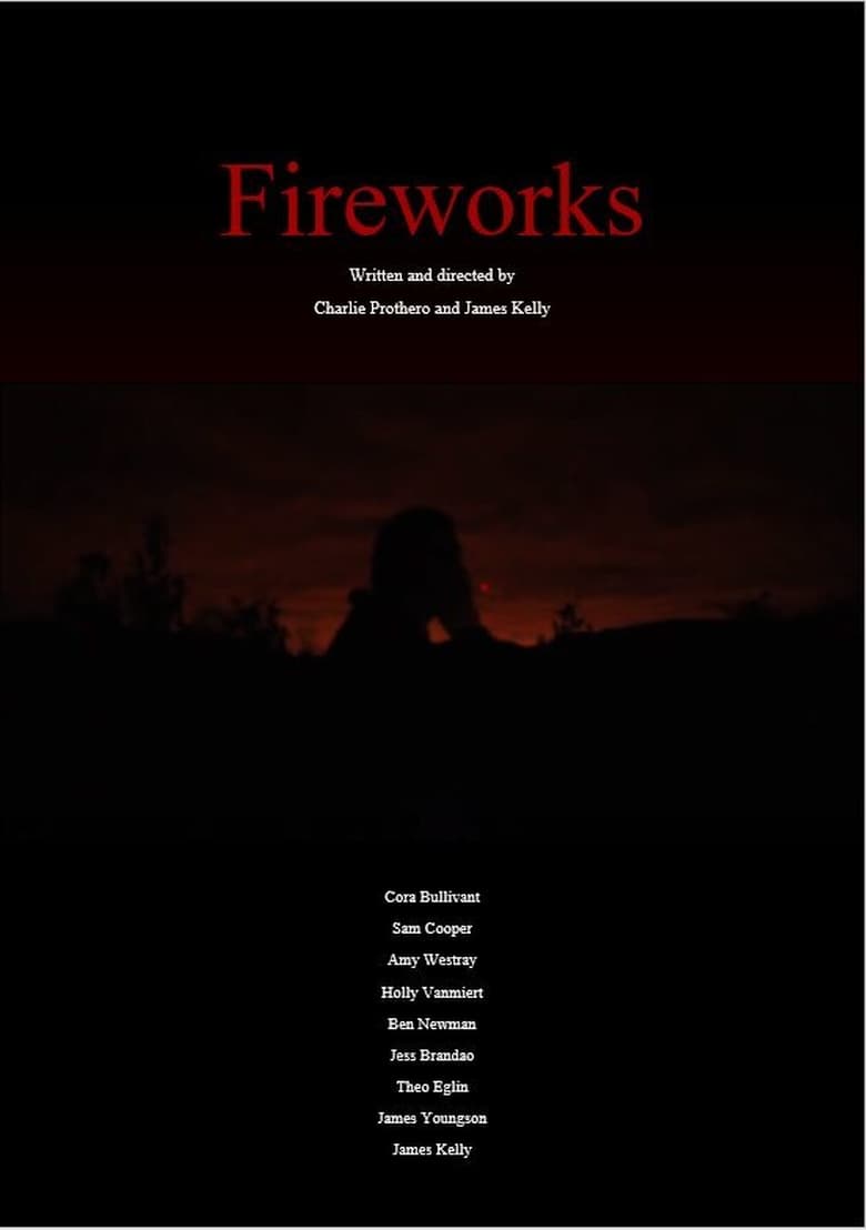 Poster of Fireworks