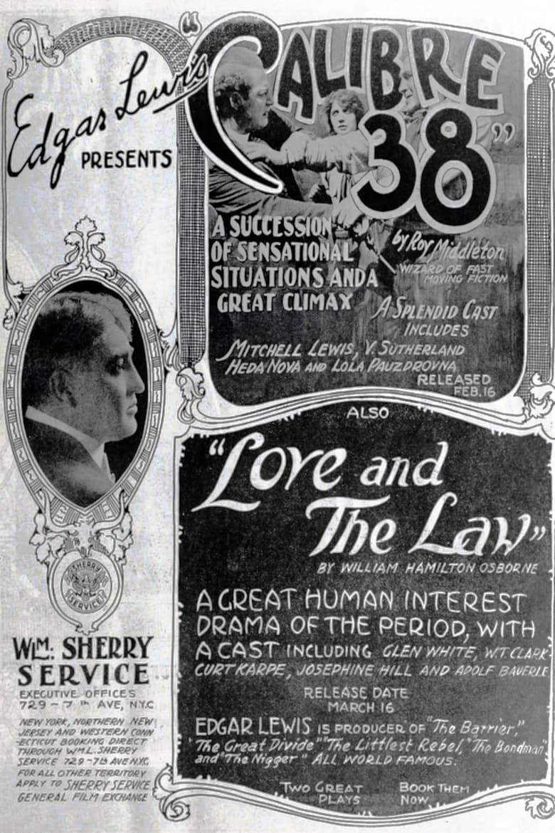 Poster of Love and the Law