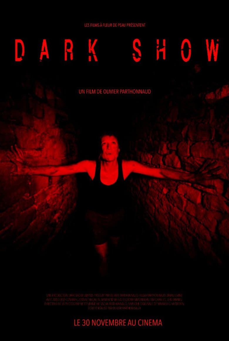 Poster of Dark Show