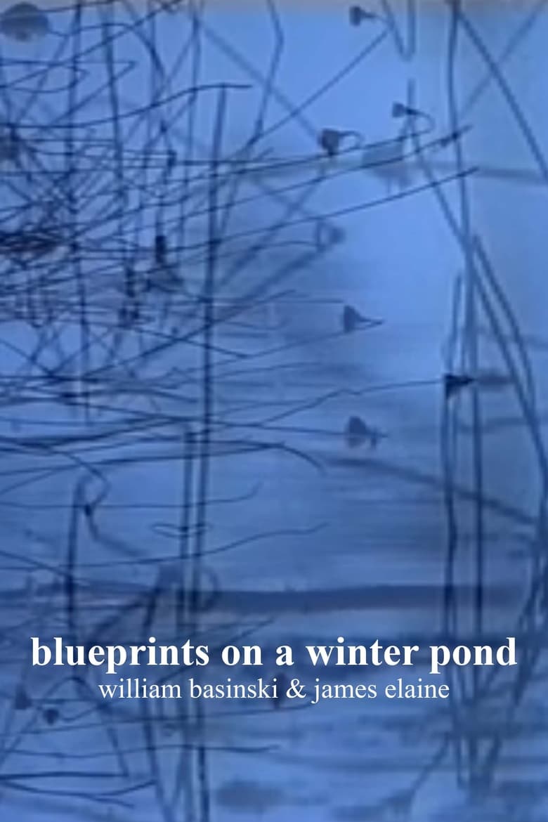 Poster of blueprints on a winter pond