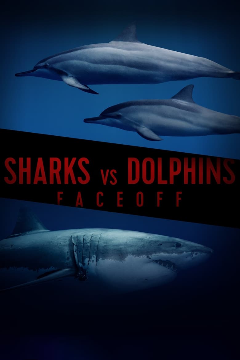 Poster of Sharks Vs. Dolphins: Face Off