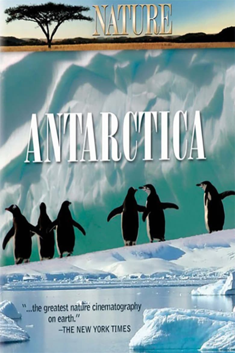 Poster of Under Antarctic Ice