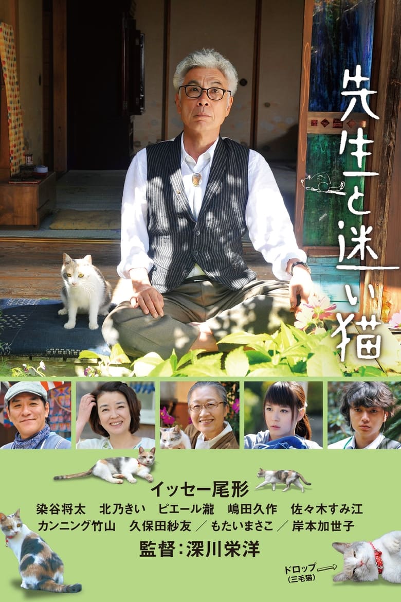 Poster of Teacher and Stray Cat