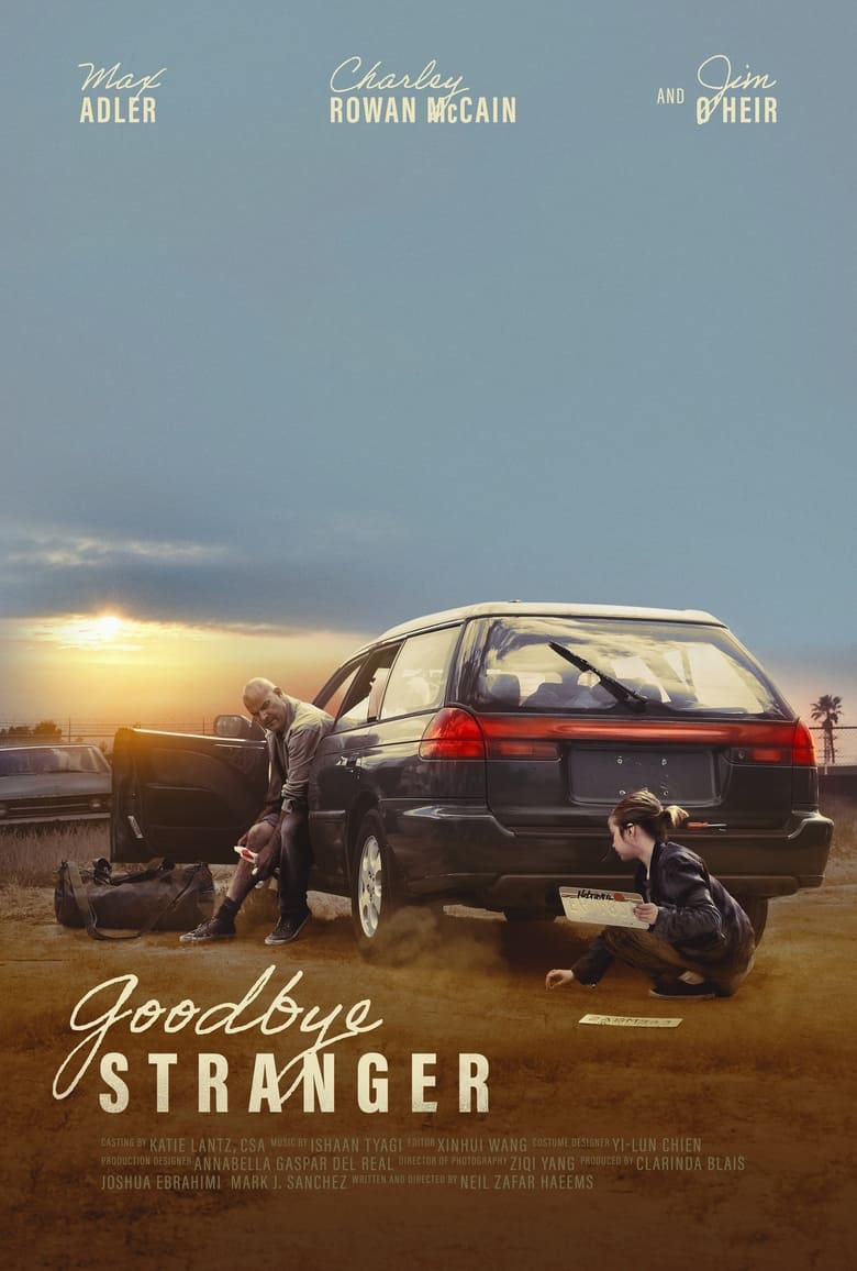 Poster of Goodbye Stranger