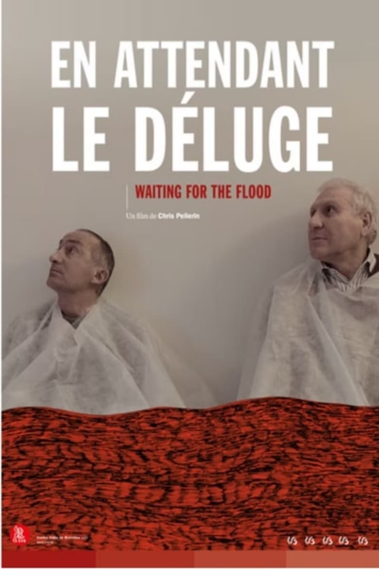 Poster of Waiting for the Flood