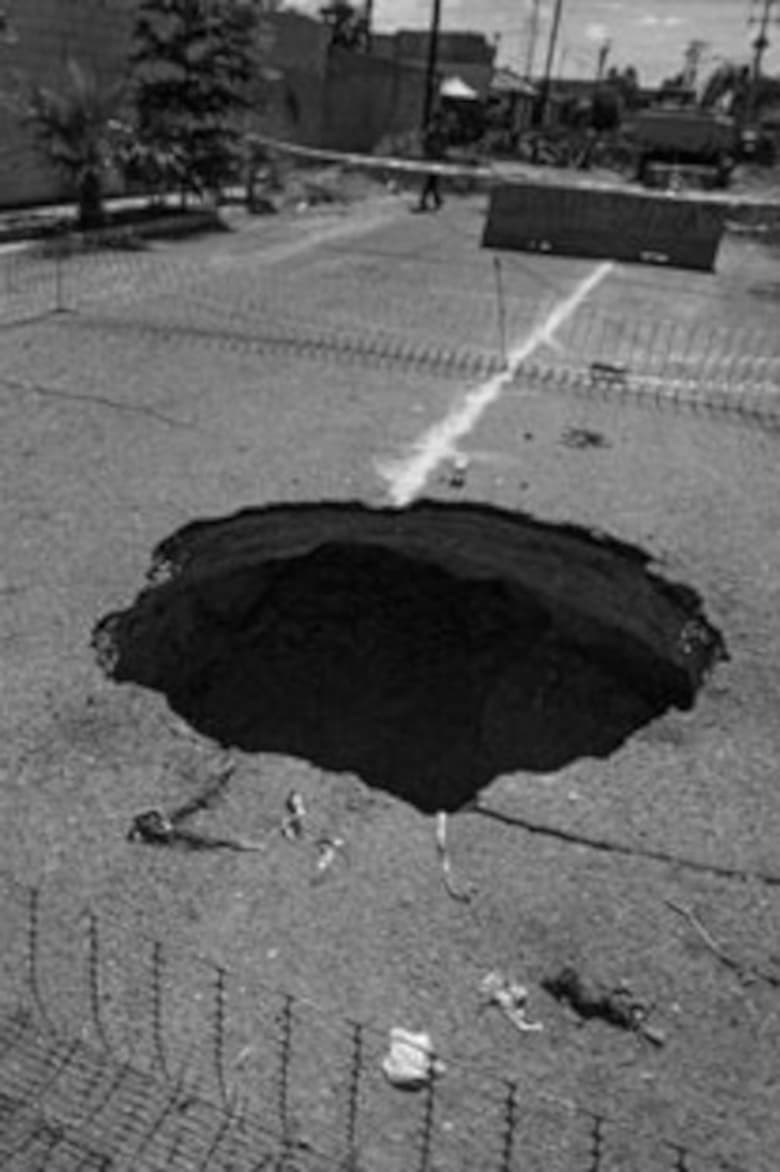 Poster of Sinkhole