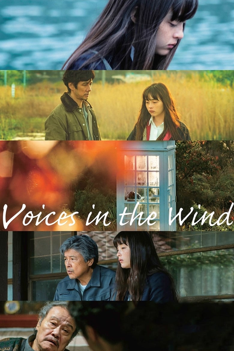 Poster of Voices in the Wind