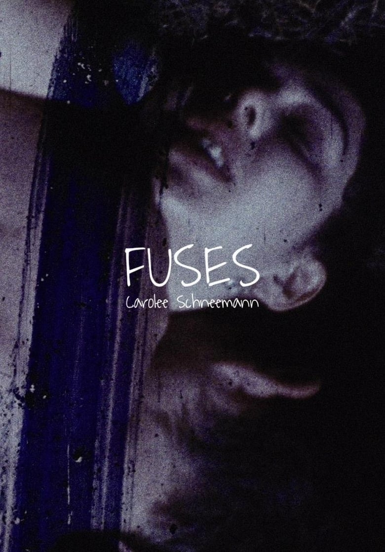 Poster of Fuses