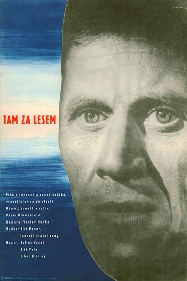 Poster of Tam za lesem