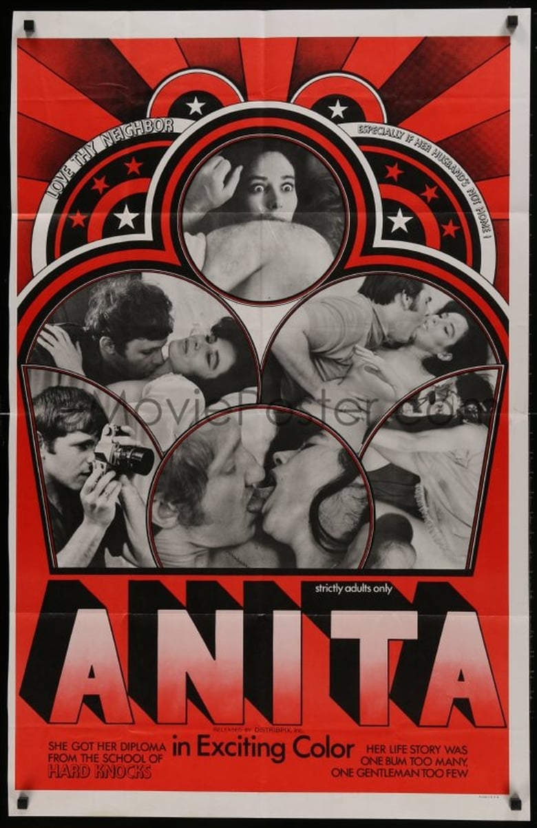 Poster of Anita