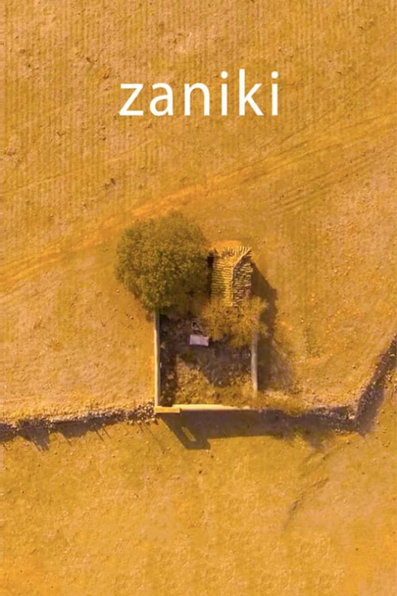 Poster of Zaniki